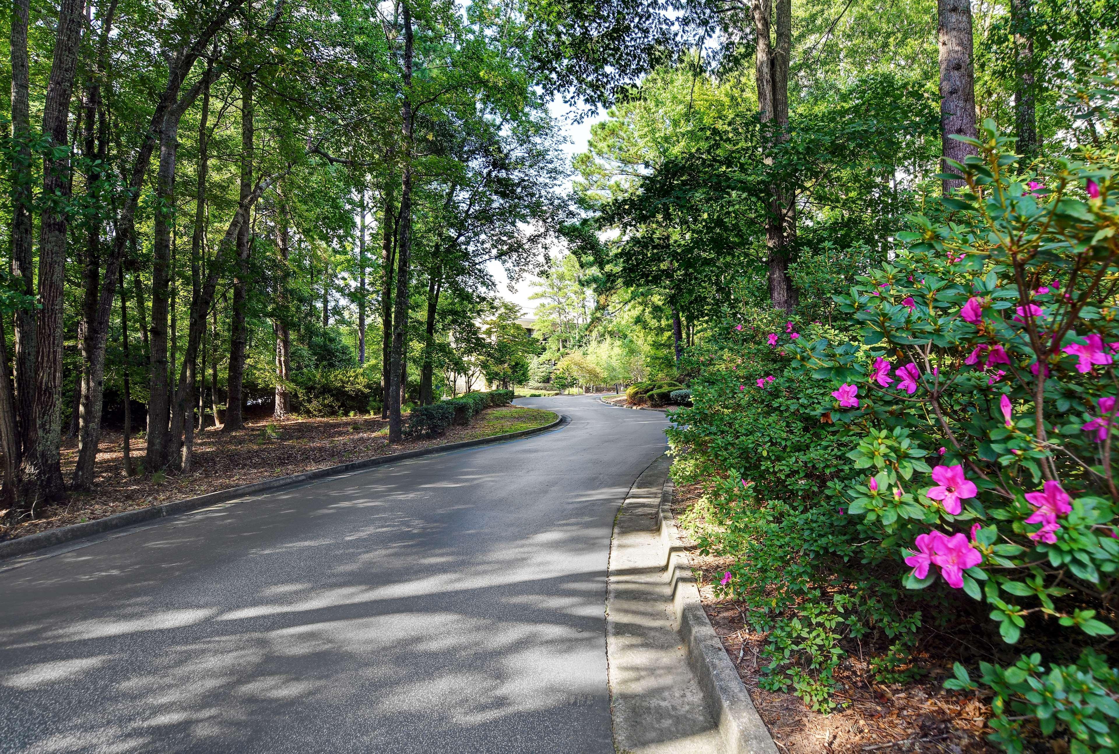 Hilton Peachtree City Atlanta Hotel & Conference Center Экстерьер фото